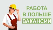 Работа и трудоустройство в Польше