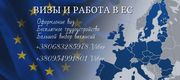 Офіційна робота в Польщі для кожного та легальні документи 