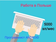 Программист Android,  Польша